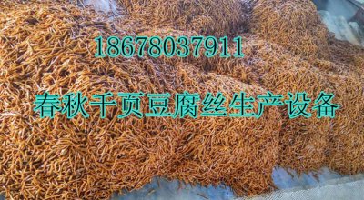 千頁(yè)豆腐黃金絲入味技術(shù)春秋免費(fèi)，千頁(yè)豆腐黃